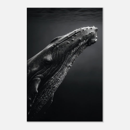 b7577639-6b77-4676-af91-6195025f2761