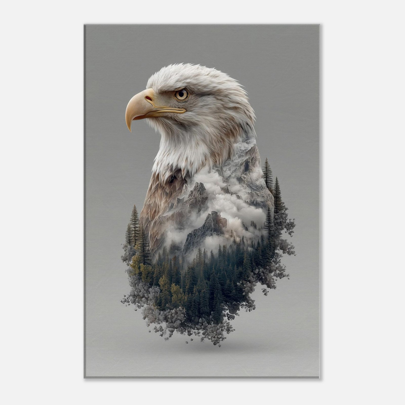 b81d342f-8347-4b13-b4d9-1b5bc983333b