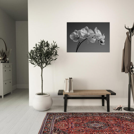 b848f777-38b5-4dac-a9ea-d742f1bfa9bd