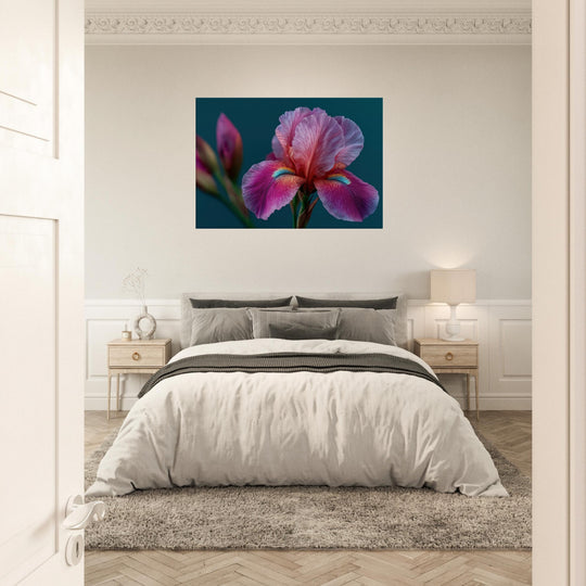 b8524f4f-0760-418f-b0d7-41980d44c319