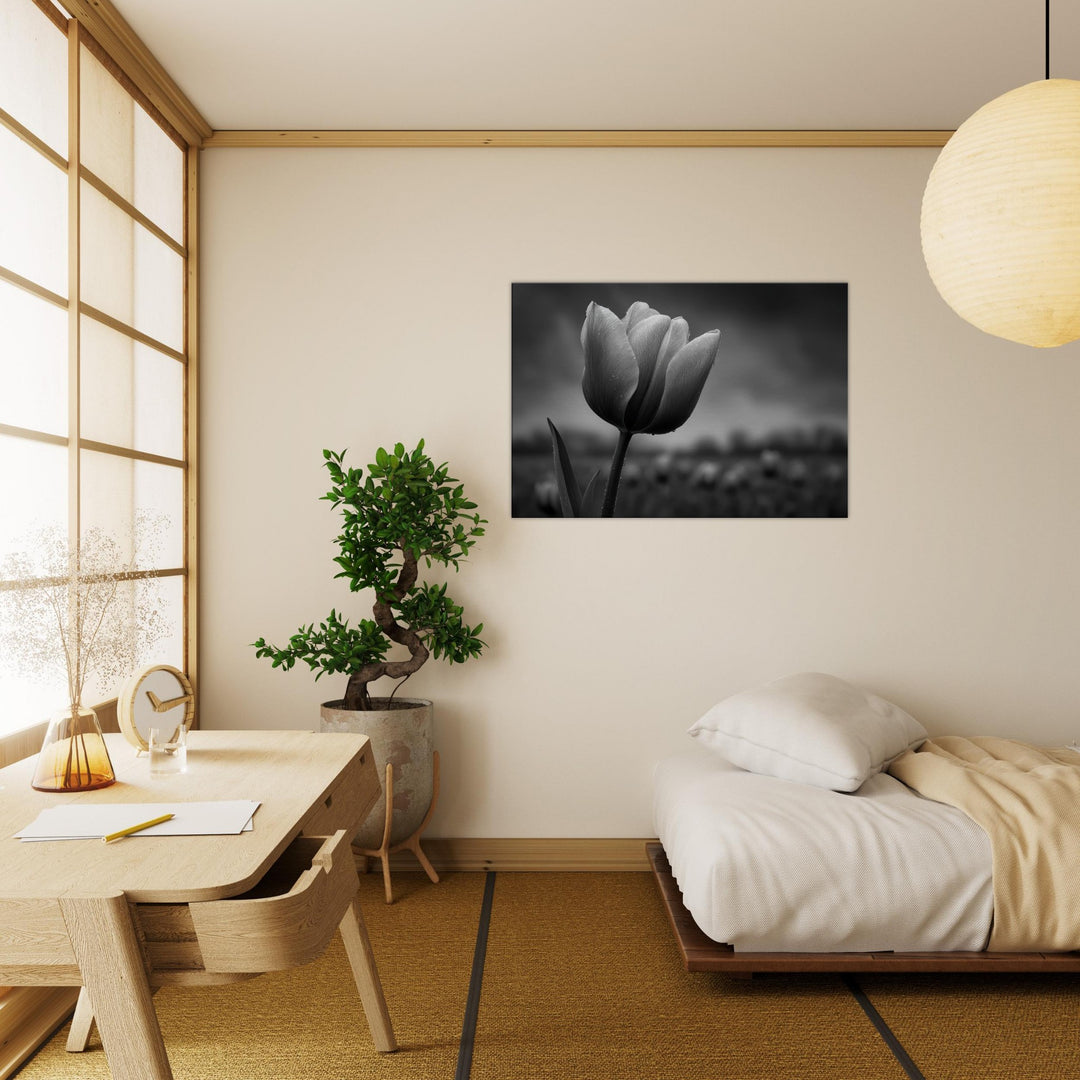 b8688a9d-52ba-4159-b360-0e8cadad9e66