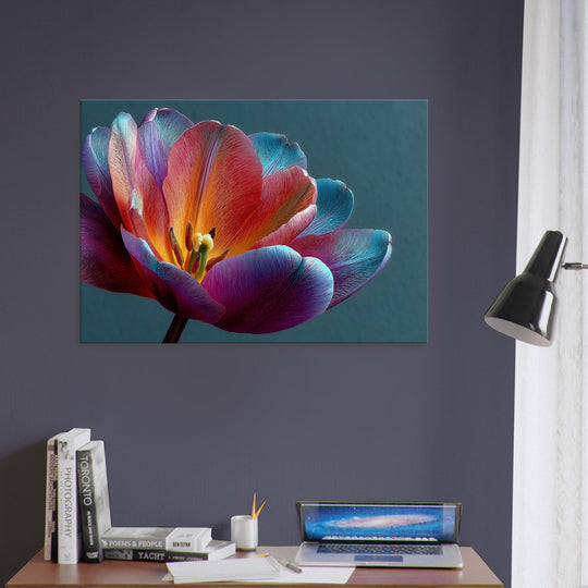 b8e52ea2-ea2a-442c-9869-43a24dd0f604