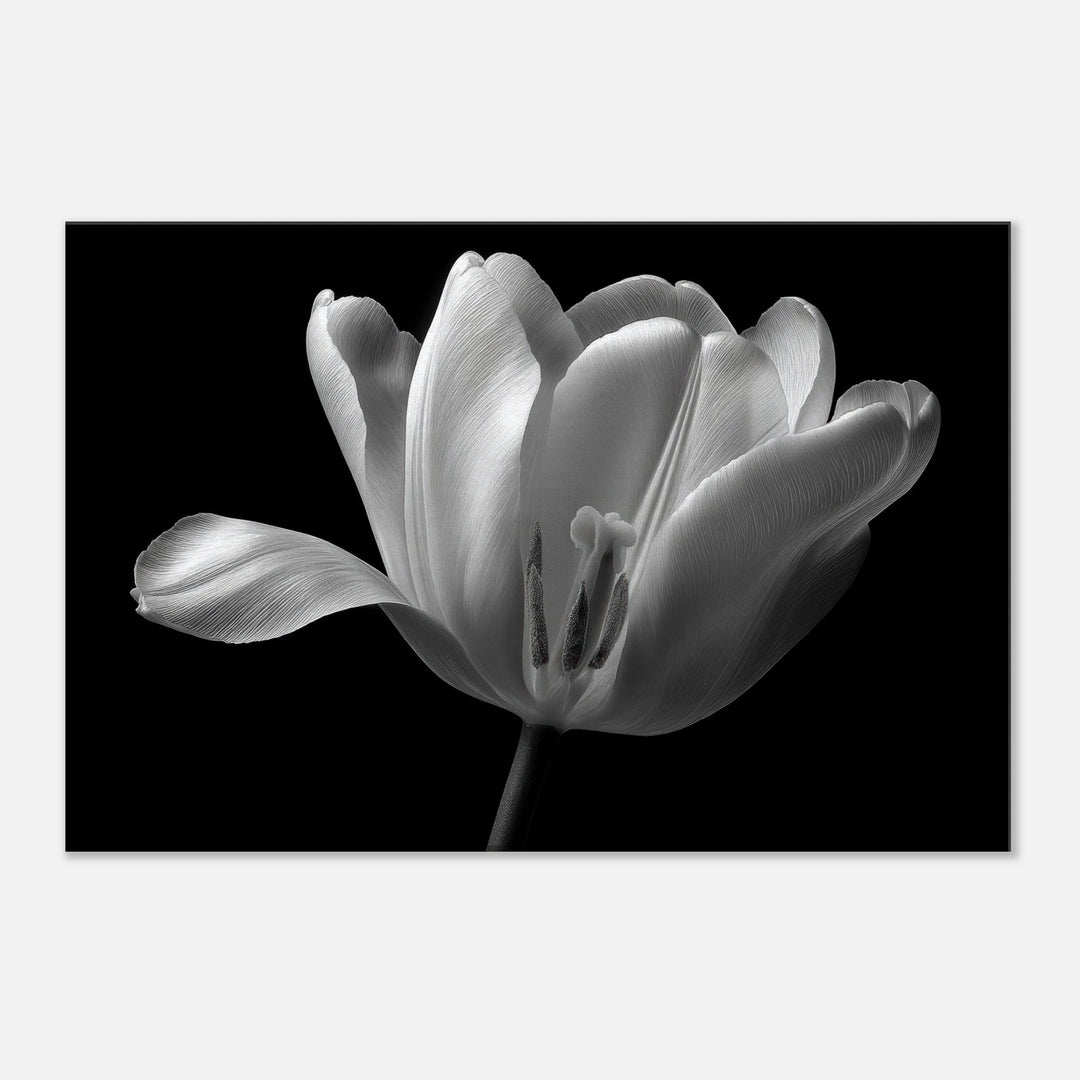 b9d8e94e-35e8-4419-87ae-3a6ae3e52a49