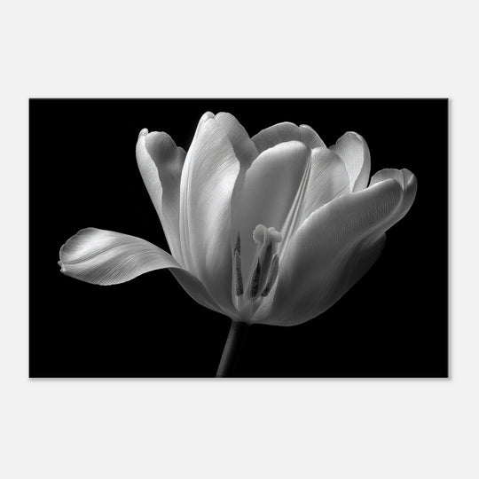 b9d8e94e-35e8-4419-87ae-3a6ae3e52a49