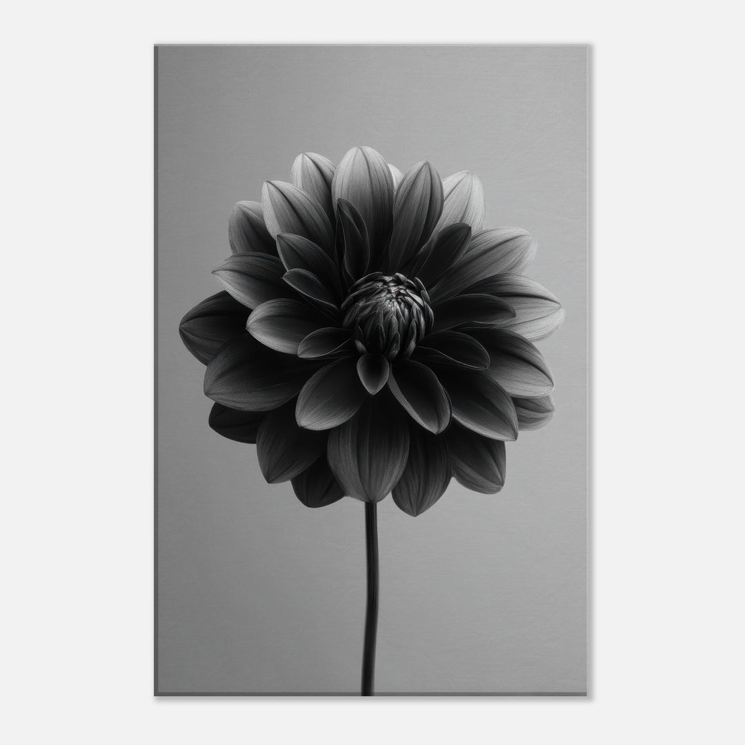 b9f69e4e-99fc-4914-b282-56361d096110