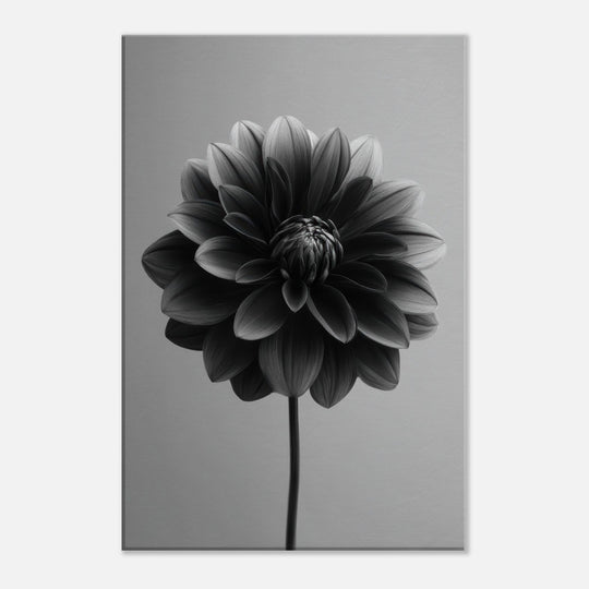 b9f69e4e-99fc-4914-b282-56361d096110