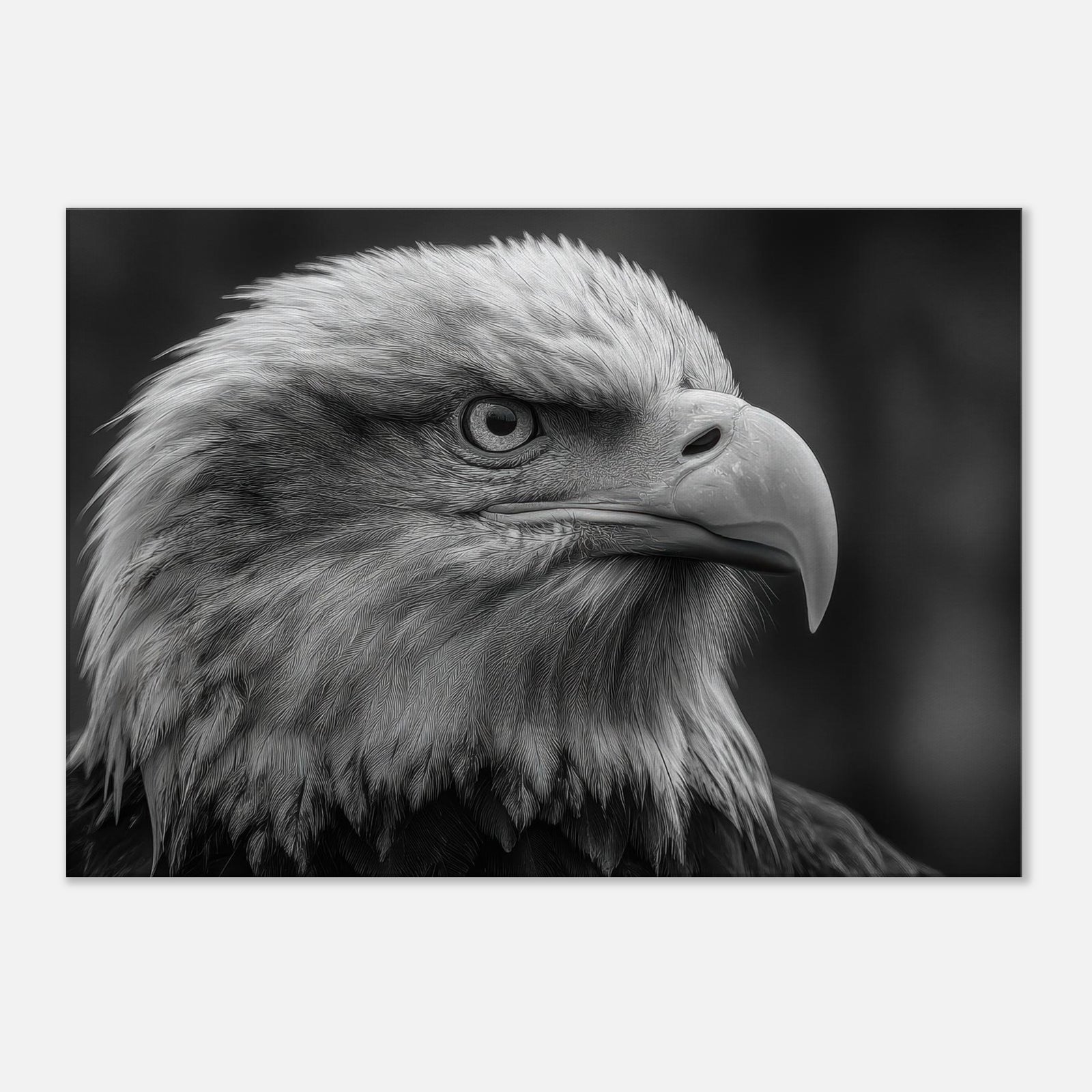 ba0e4d07-7e8d-4a0c-8956-a1cc367f6b06