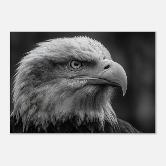 ba0e4d07-7e8d-4a0c-8956-a1cc367f6b06