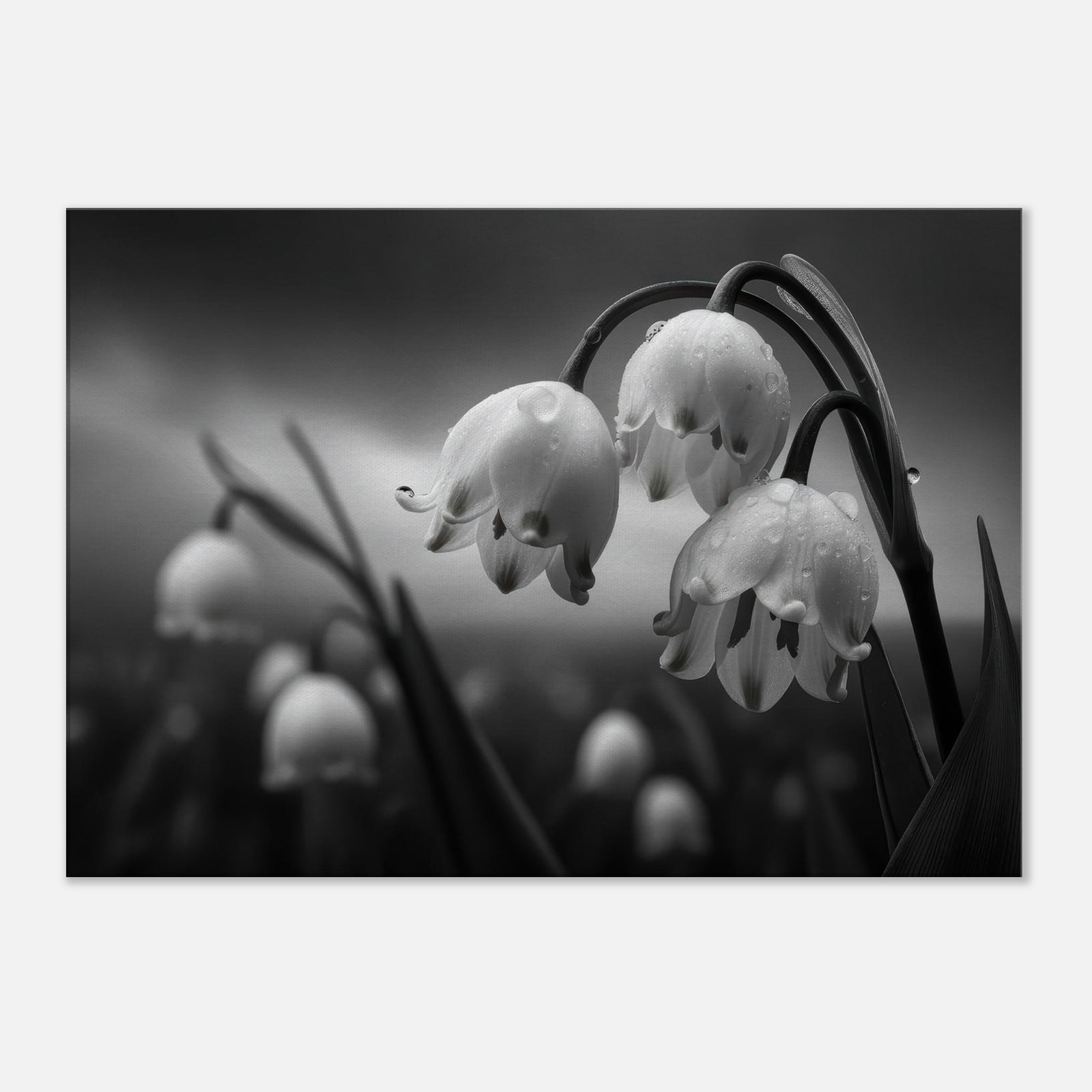 ba3c513b-6c7e-4092-b9a9-a627d87b203f