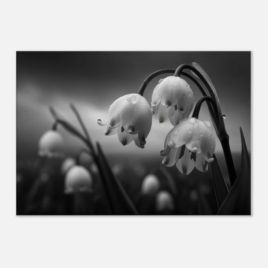 ba3c513b-6c7e-4092-b9a9-a627d87b203f