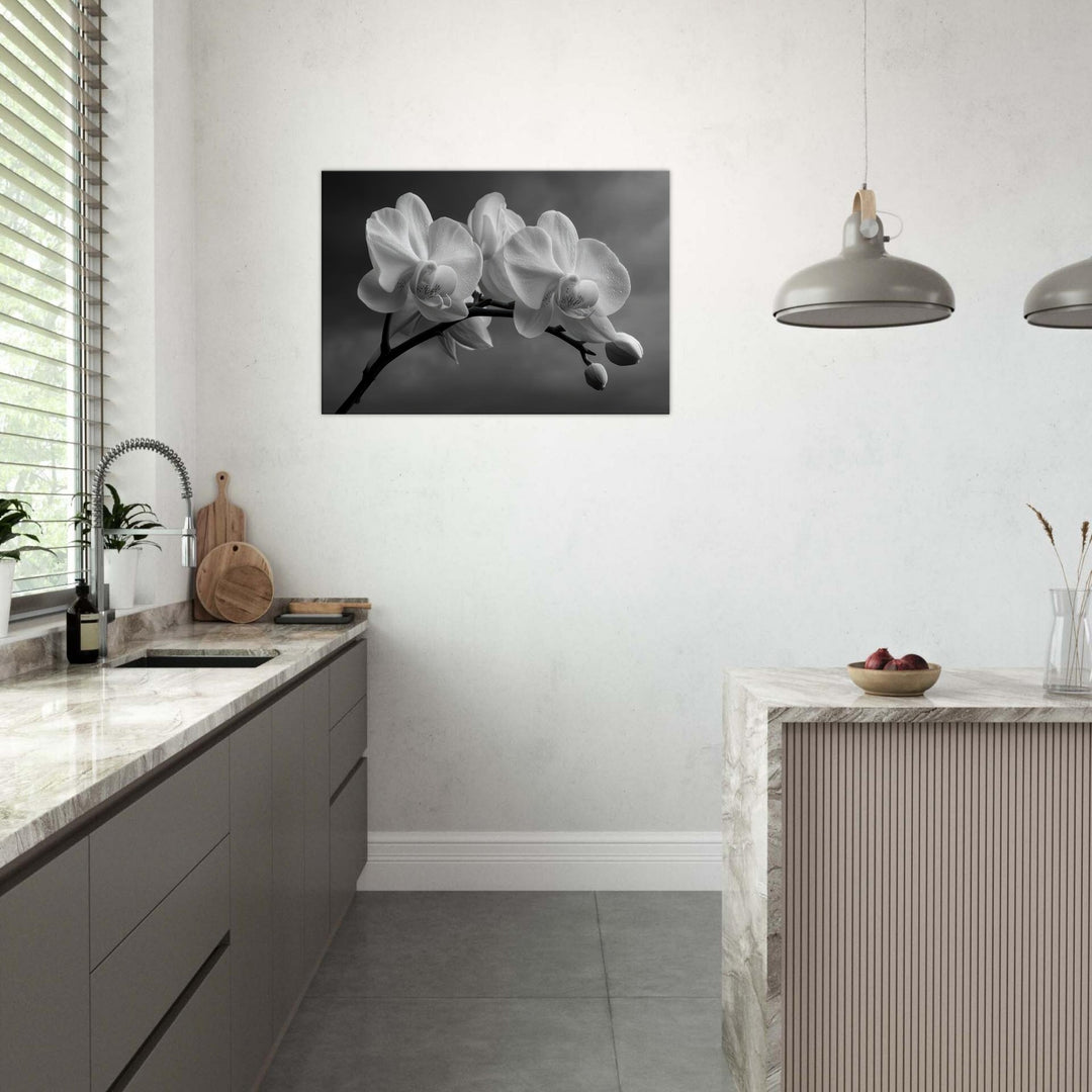 ba6cfc4b-0b15-447d-972c-355d74070647