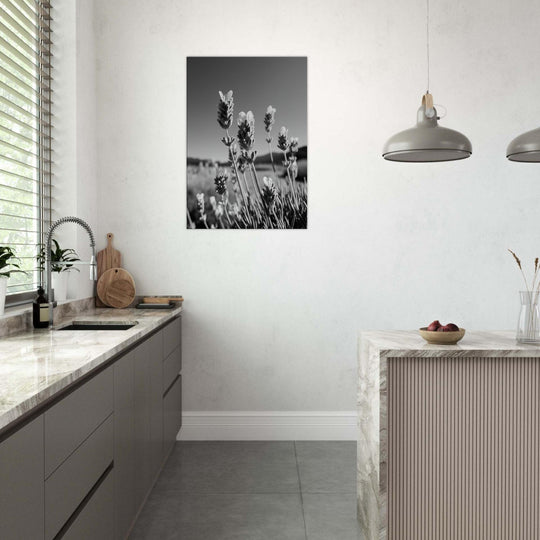 ba78fd79-0092-46f2-adbb-7b84ab87a958