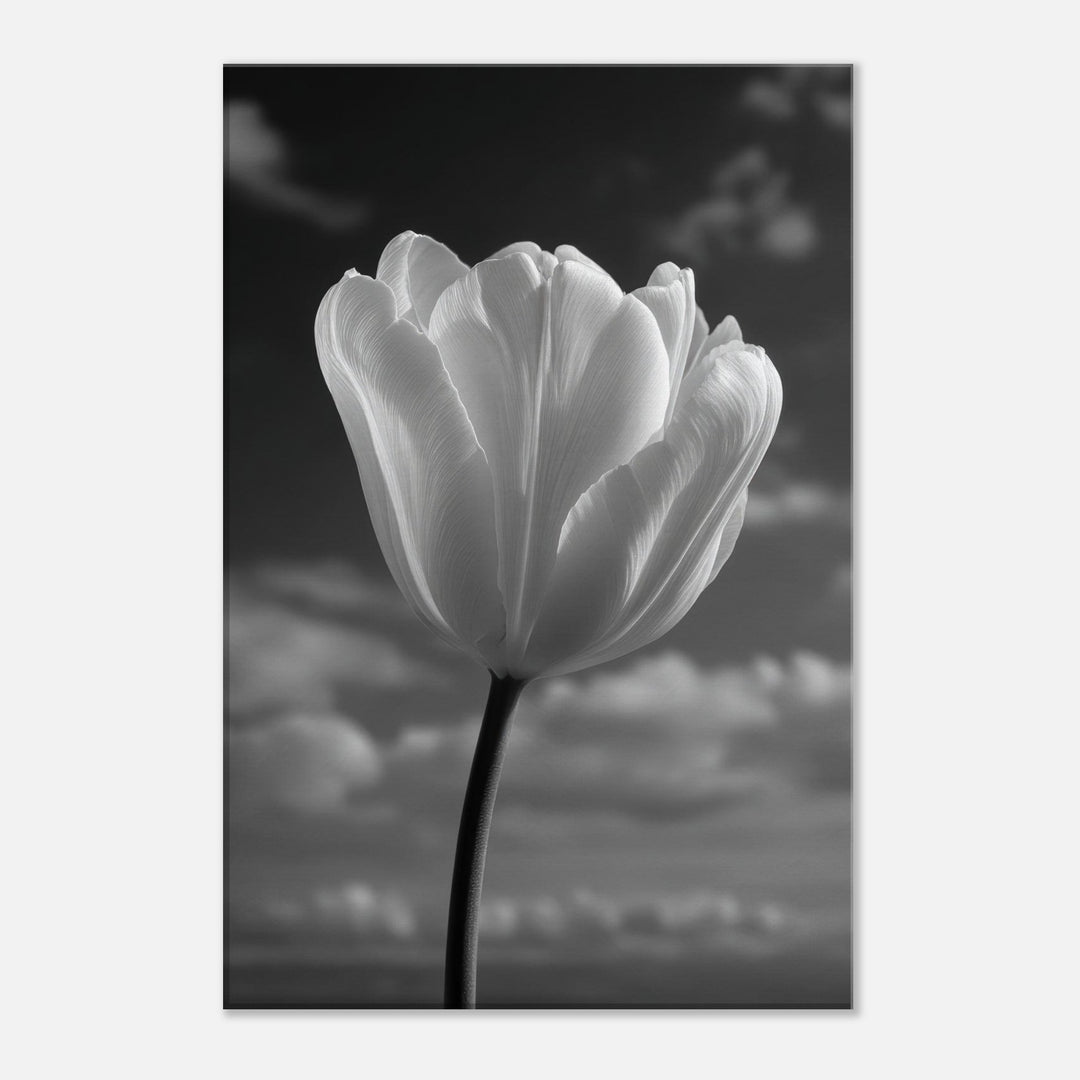 bae53680-23a6-4a39-892f-f07a040d2be7