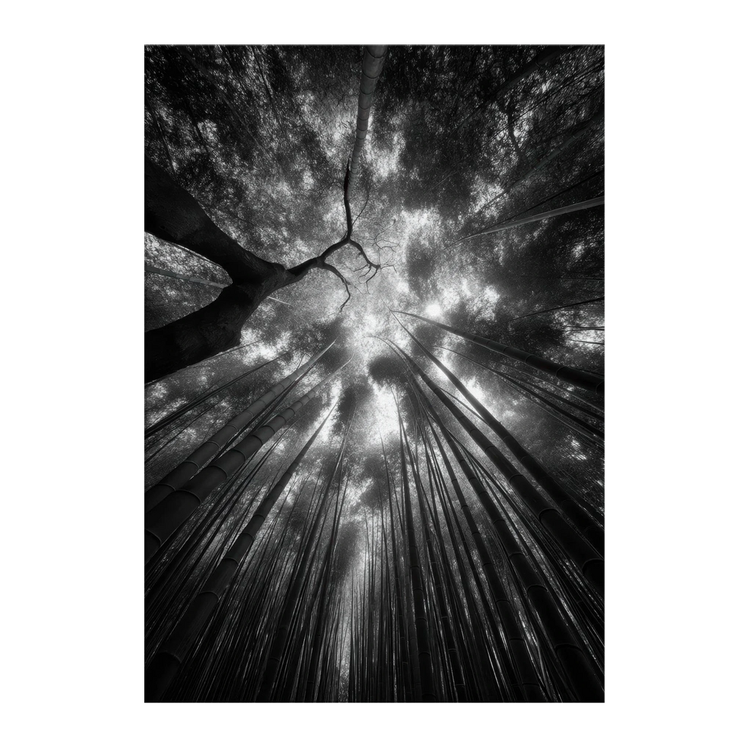 f270a0b1-ba10-473b-91b5-41e928e5914d