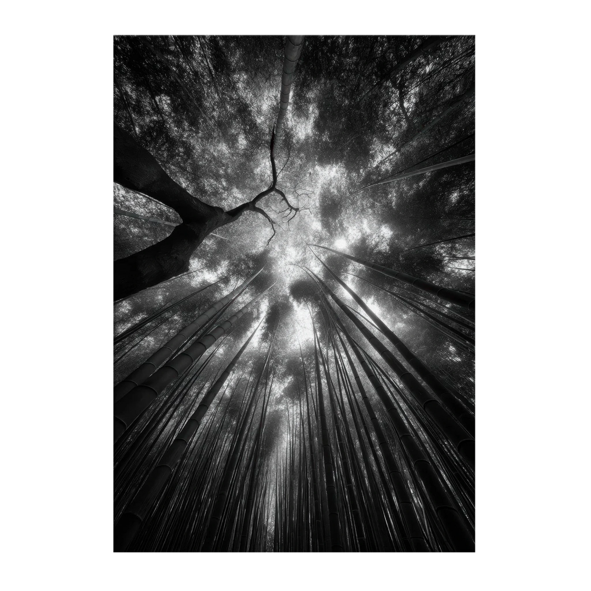 f270a0b1-ba10-473b-91b5-41e928e5914d