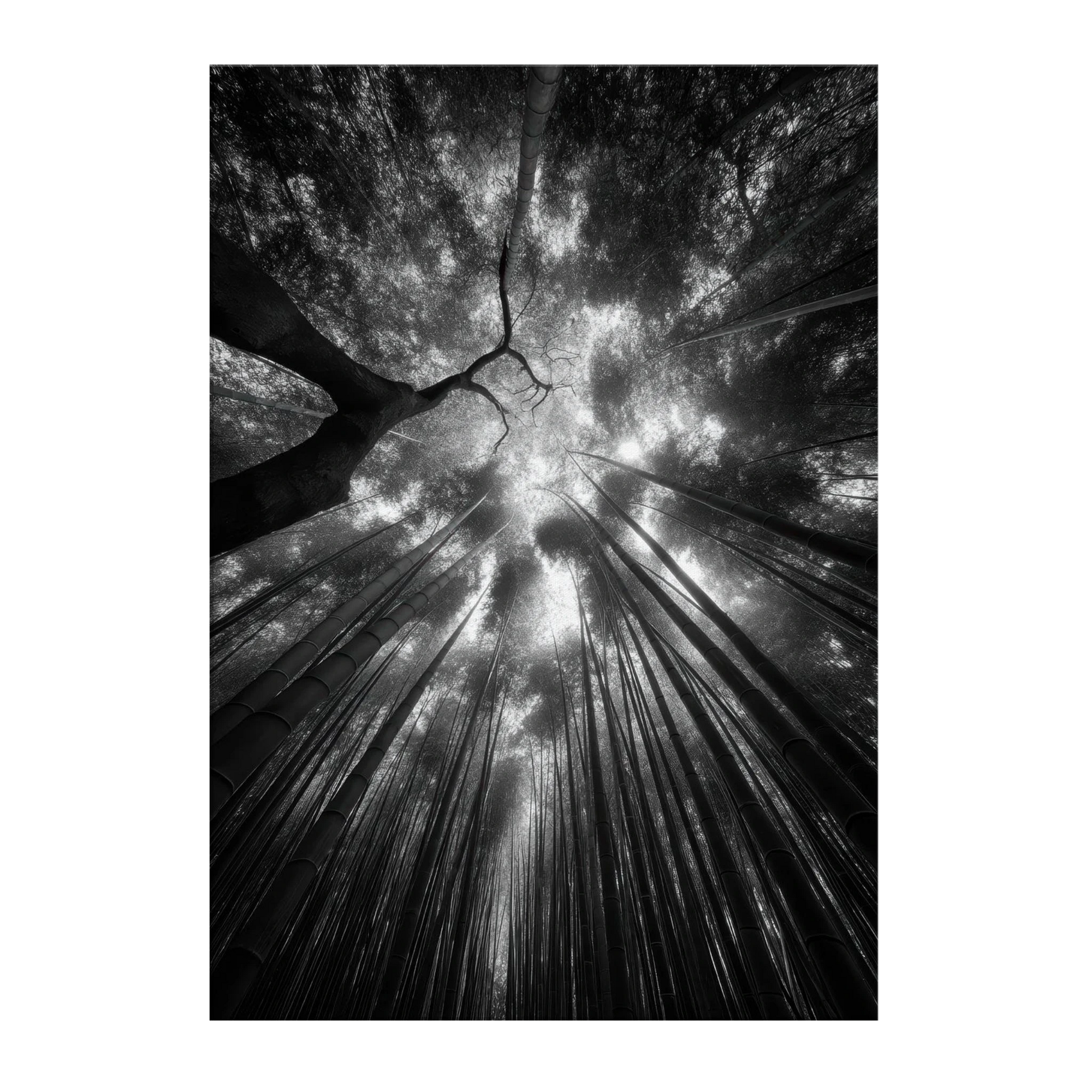 f270a0b1-ba10-473b-91b5-41e928e5914d