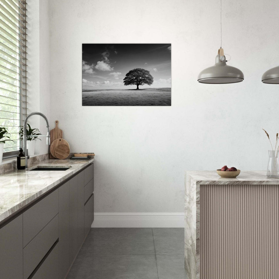 bb14d699-c13b-4f93-9ccb-fe92e2a8ba55