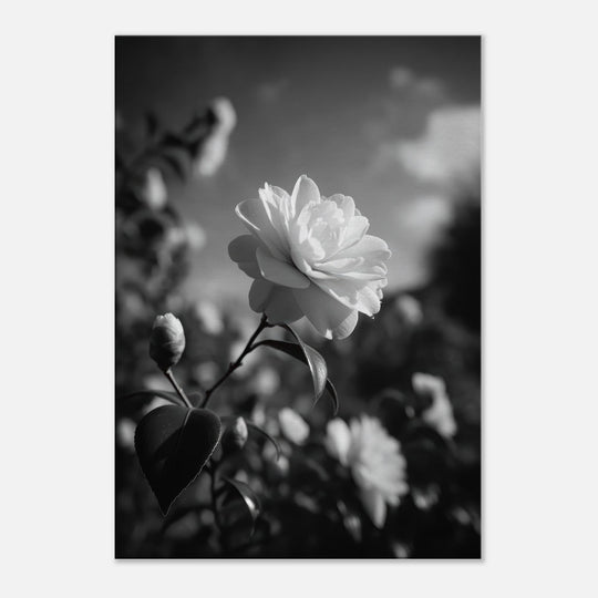 bbaf139c-32b0-4c95-b70d-aced1a7838a3