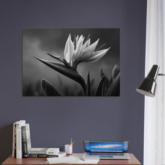 bbe8b858-8436-4081-a81a-3c7d08acaa09