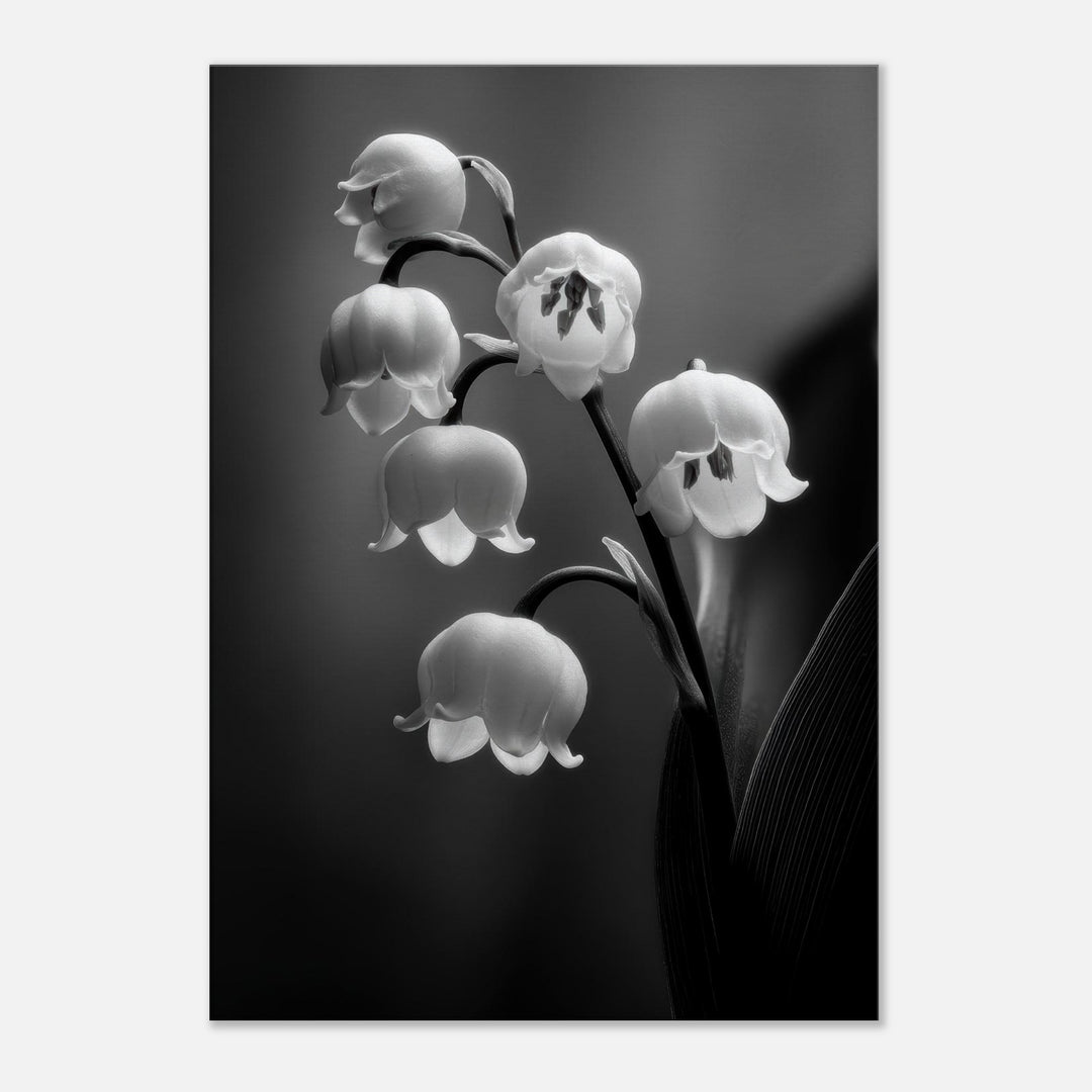 bc48e44b-cd0c-4bb7-869c-82072aae34ff