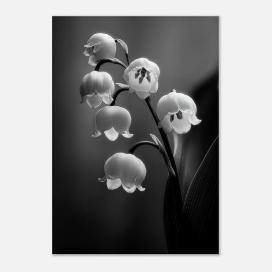 bc48e44b-cd0c-4bb7-869c-82072aae34ff