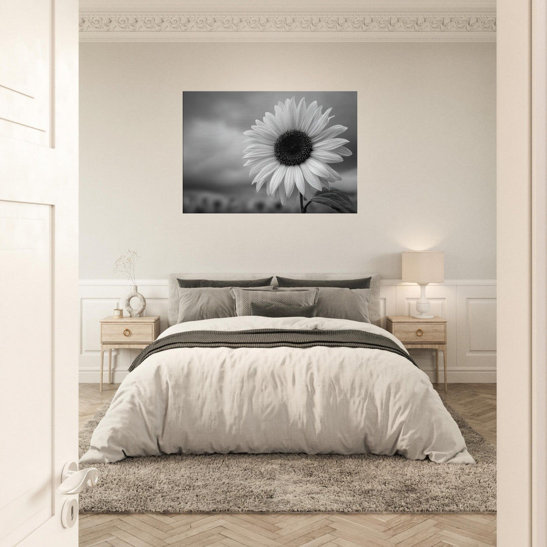 bc9541e5-939f-4c14-b454-dc8588203101