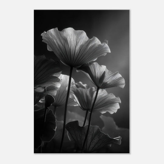 bcc1365c-bf0c-42b7-a790-cfb4ca8eaa3d