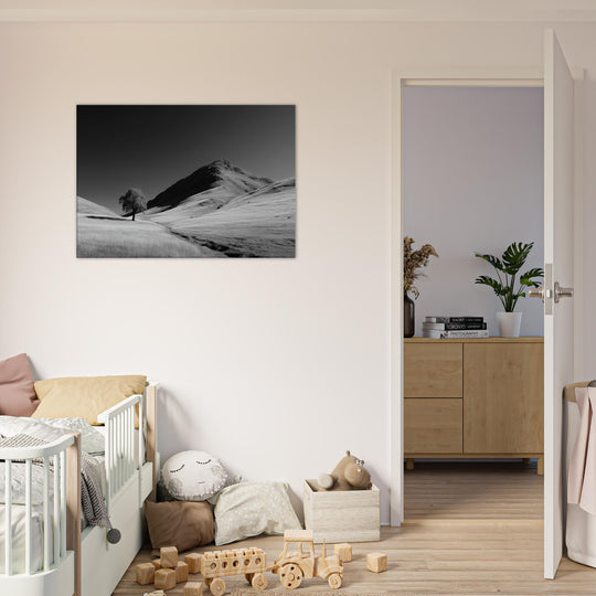 bd1a77bc-1cb0-4563-8f48-8b6f1788a1dc