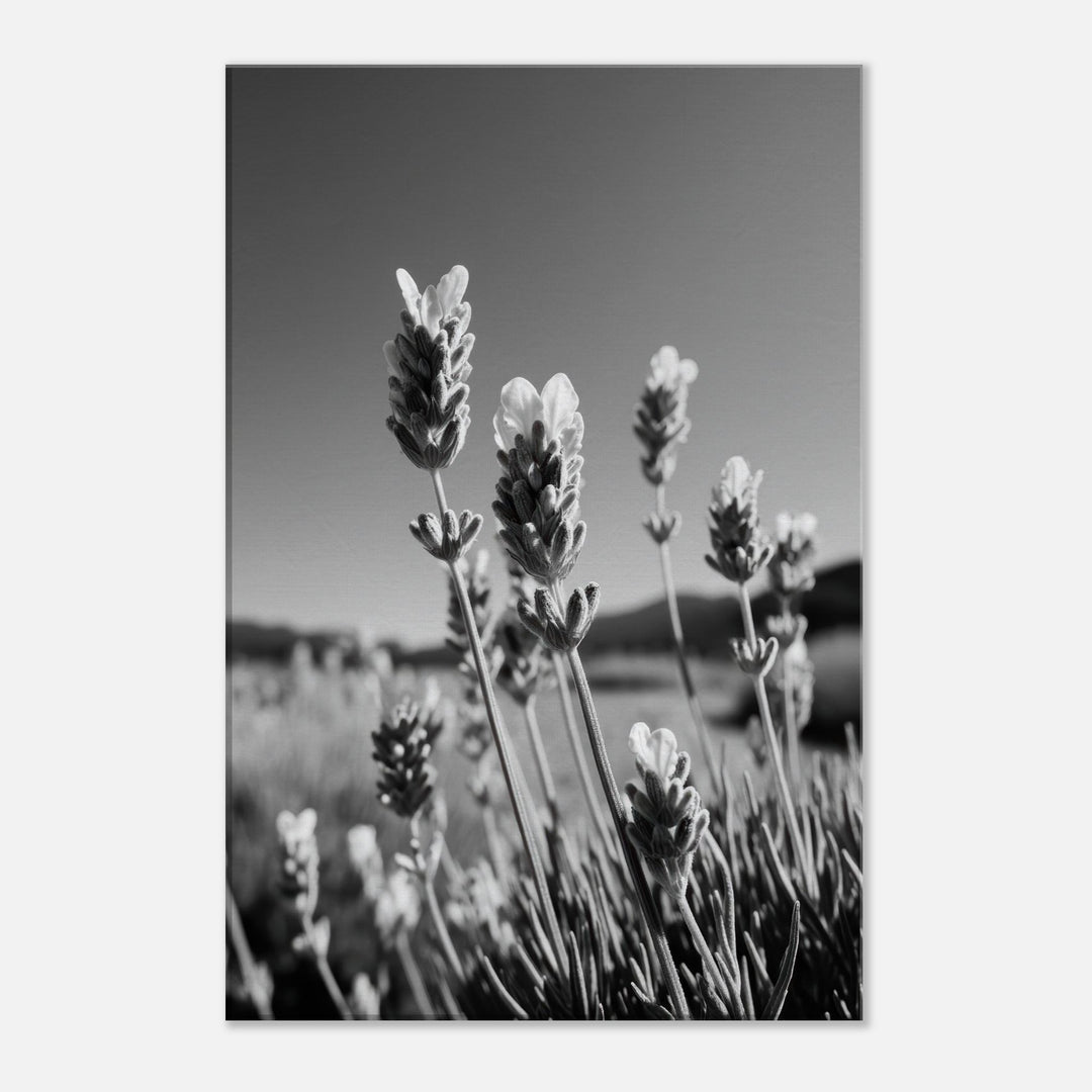 bd3ceb8a-094d-4177-b58f-c16e27c6f633