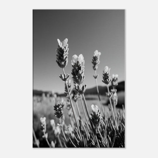 bd3ceb8a-094d-4177-b58f-c16e27c6f633