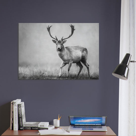 bd49a4ae-8631-4ed4-b012-a1622d72050e