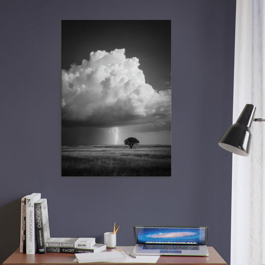 be765df4-7f2e-4226-ab0d-dbea70e6d657