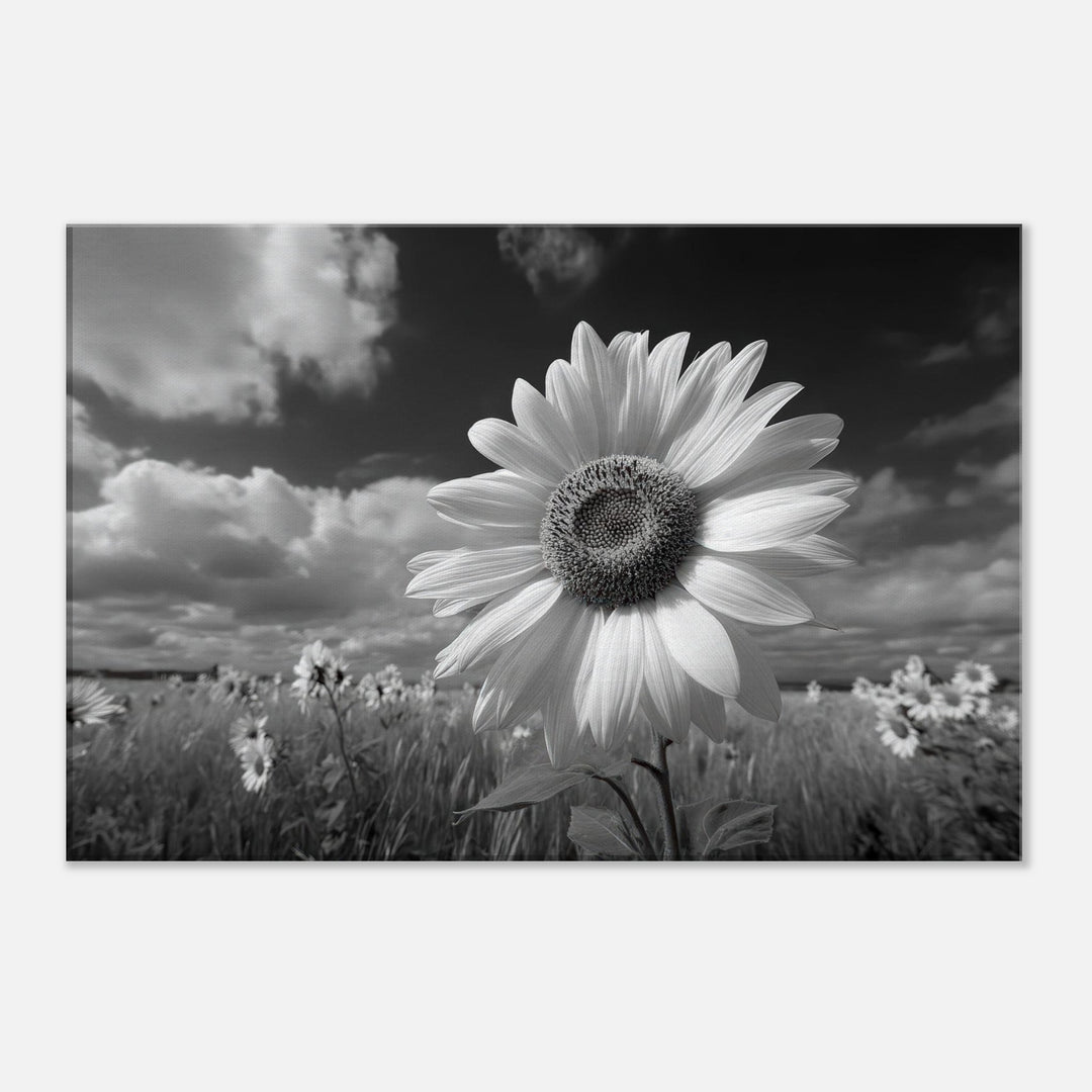 bed75ad6-ab59-4129-950e-aa2a1c2b0023