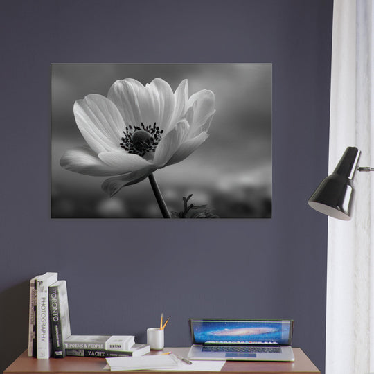 bfc82d69-b4de-4742-b109-d6a0dee86160