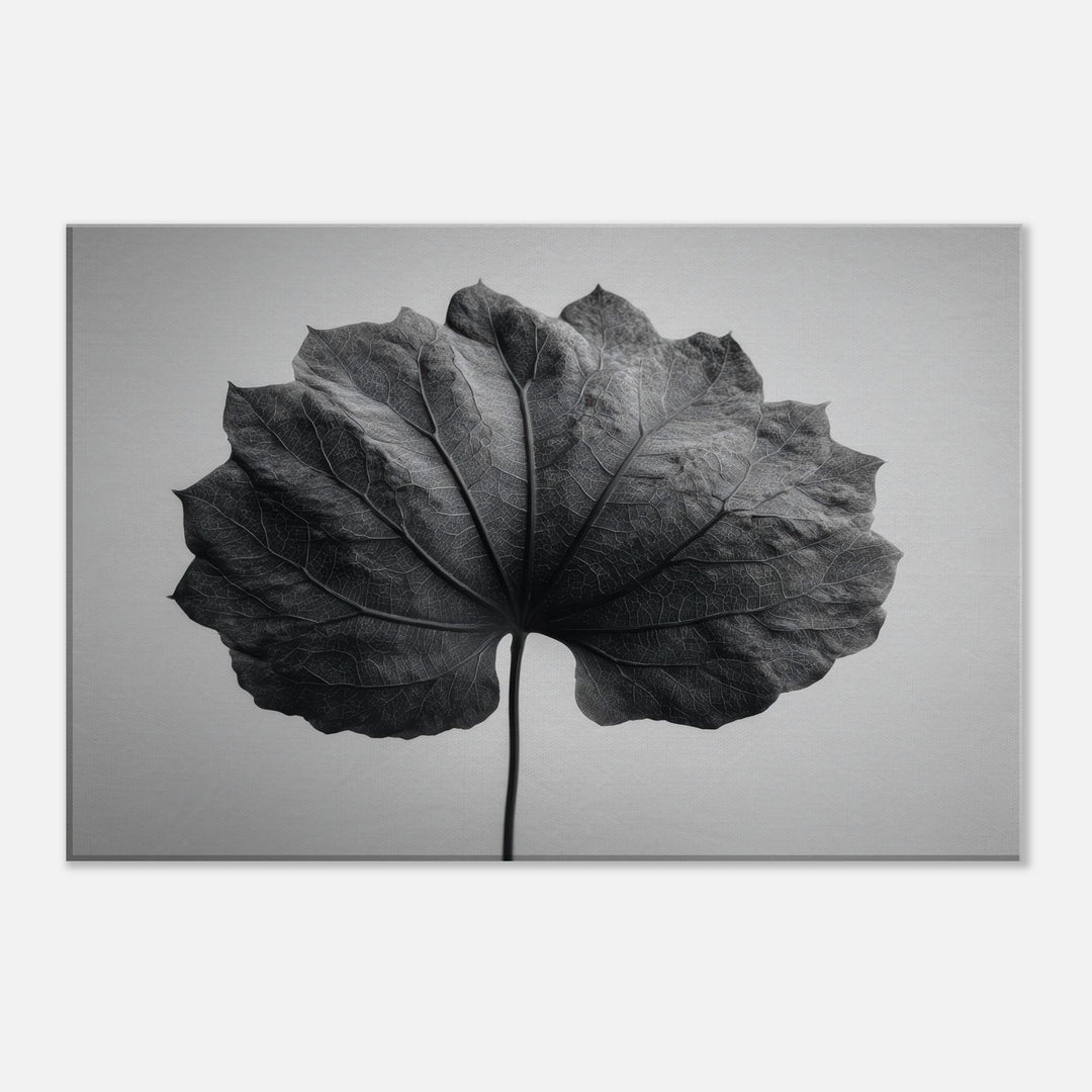 c001e388-e399-4995-9ceb-ffcd7e06cc4c