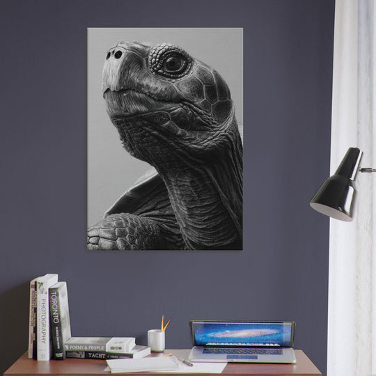 c024ef06-52cc-4e3c-b223-1290e7cf2fa0