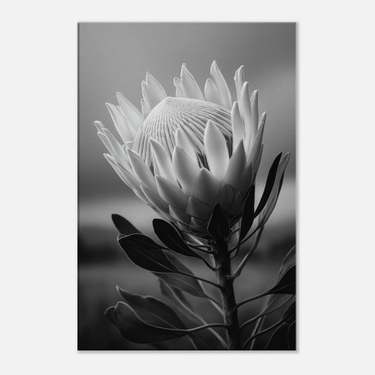 c03bda5c-21ea-4499-ad21-a1e29a096f9d