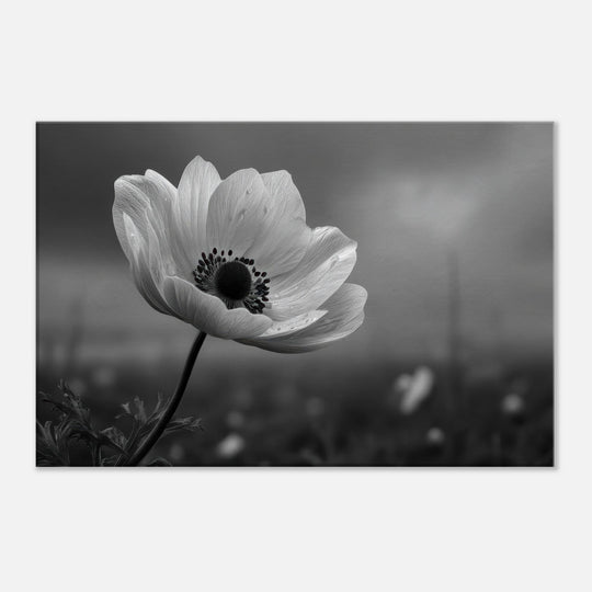 c0bd708c-8d13-41c9-b7a8-9de9311c21af