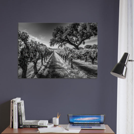 c20edaf3-e43f-436f-a7c3-22620c7d02dc