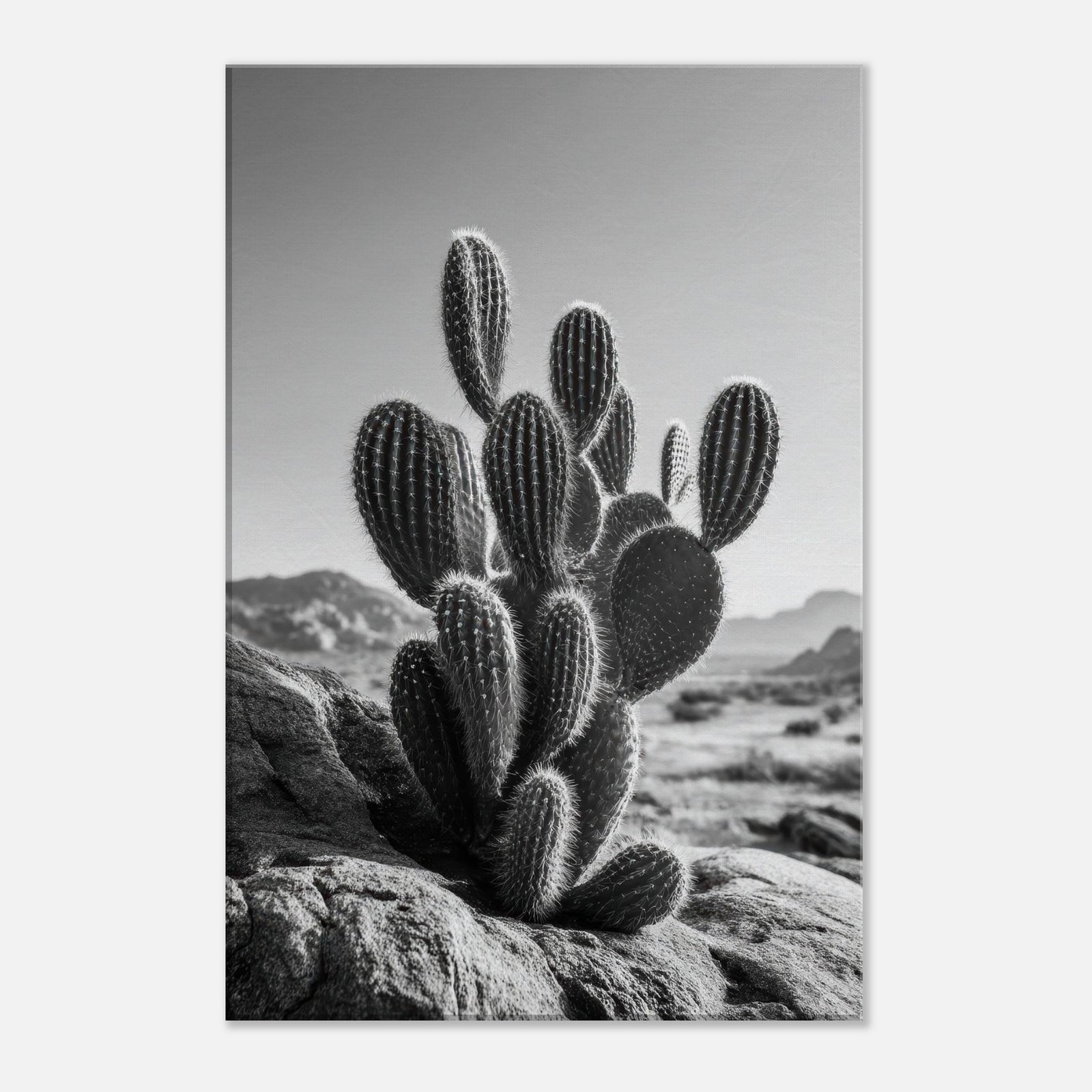 c22ce0a2-ac14-4c7c-bf7b-1bc9ddfcdc71