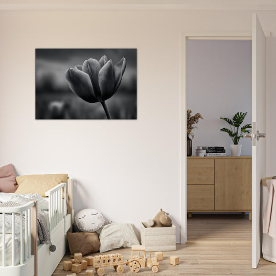 c28d9bb7-c63a-4be3-abda-47f8d8e1d45b