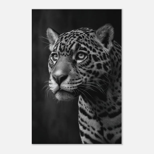 c3839f8d-0457-4abc-a025-9b492a5f8669