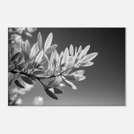 c389a486-726c-4064-b06a-c94f73883dbb