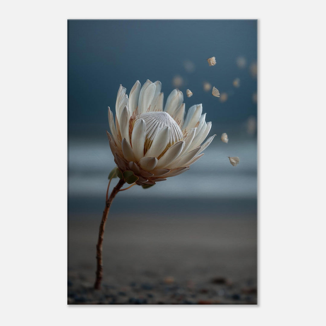 c4179cdf-309f-4ec4-8f29-ae37021c6b08