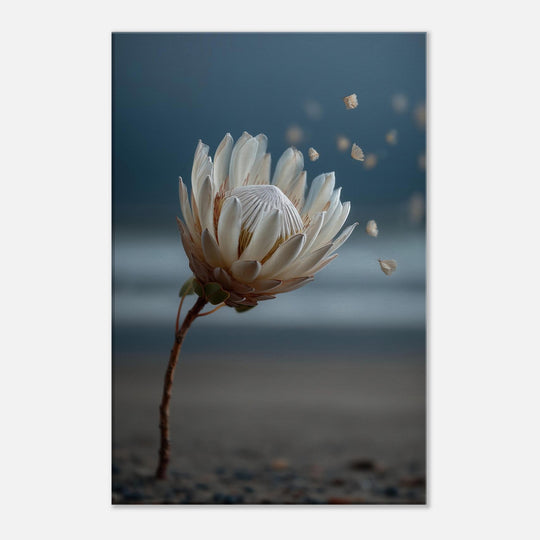 c4179cdf-309f-4ec4-8f29-ae37021c6b08