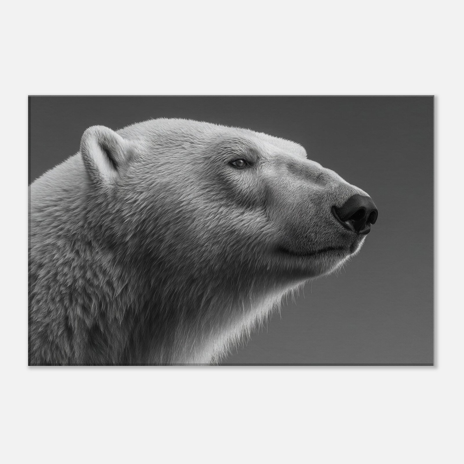 c4955c59-a9fc-4705-b210-d8e10a3d35ce