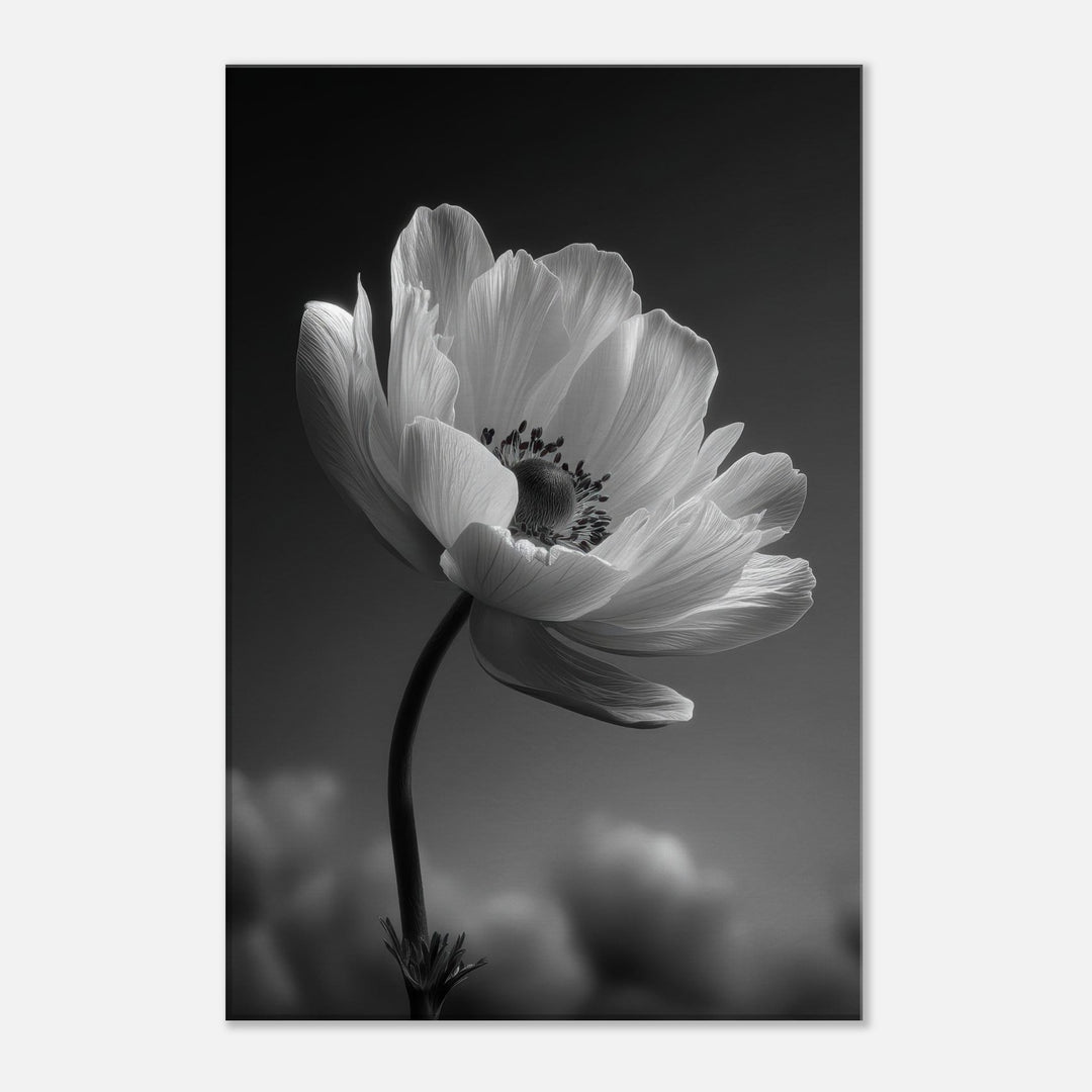 c4a90d99-0e17-49f8-92ac-f7fba6459571