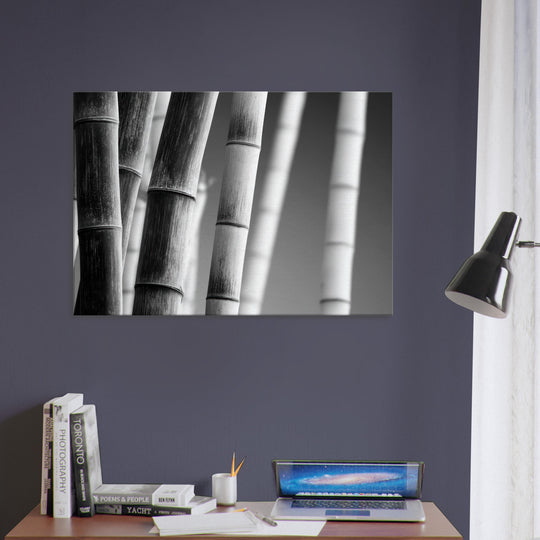 c592c2a3-97d7-4d48-89ac-dcdf2f423f3c