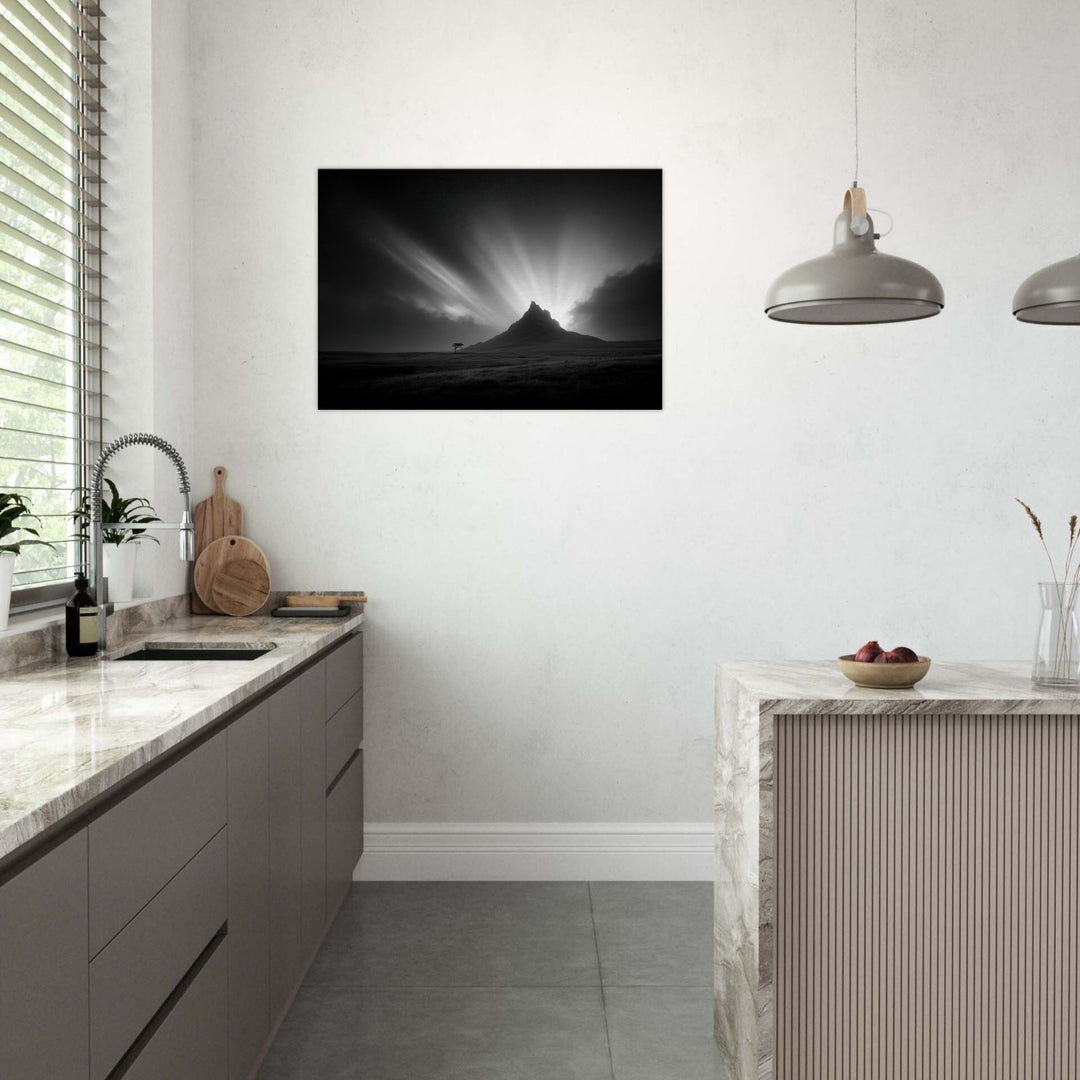 c628f02a-fc1e-48d1-a238-b8316aed97e9