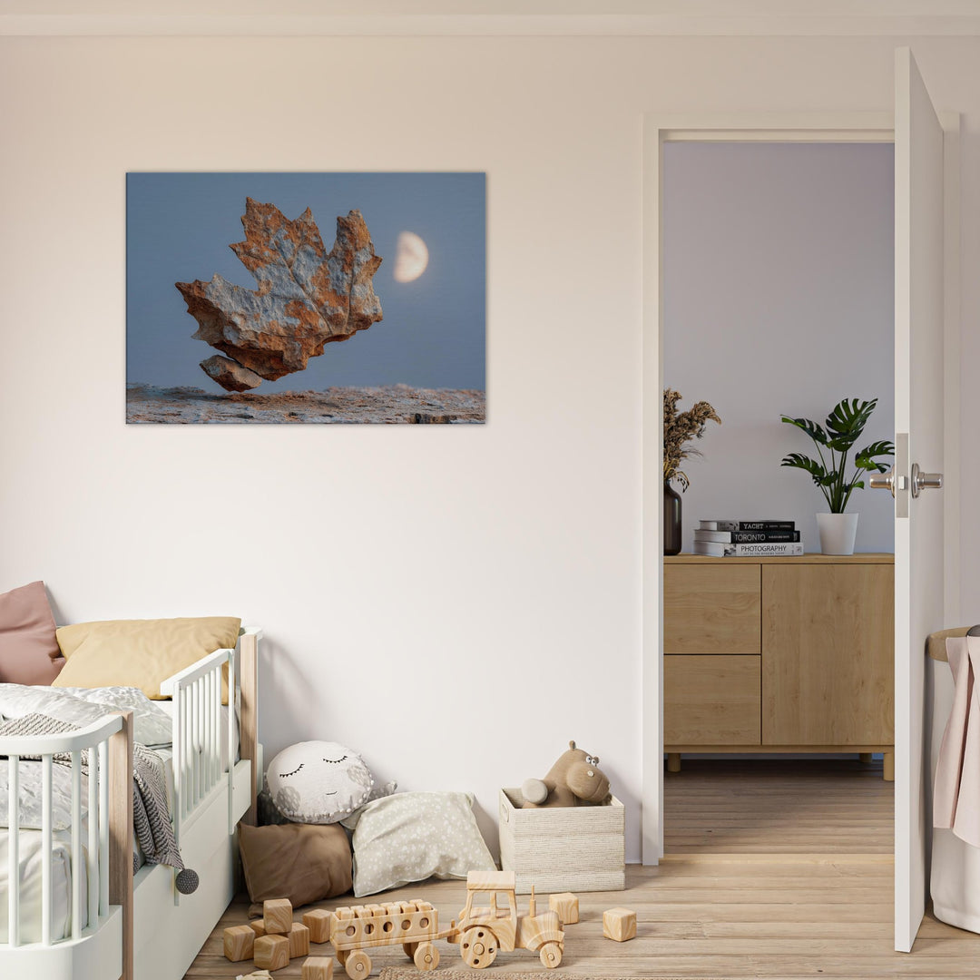 c6aa6411-bcfb-4b7e-9435-0efc257098ef